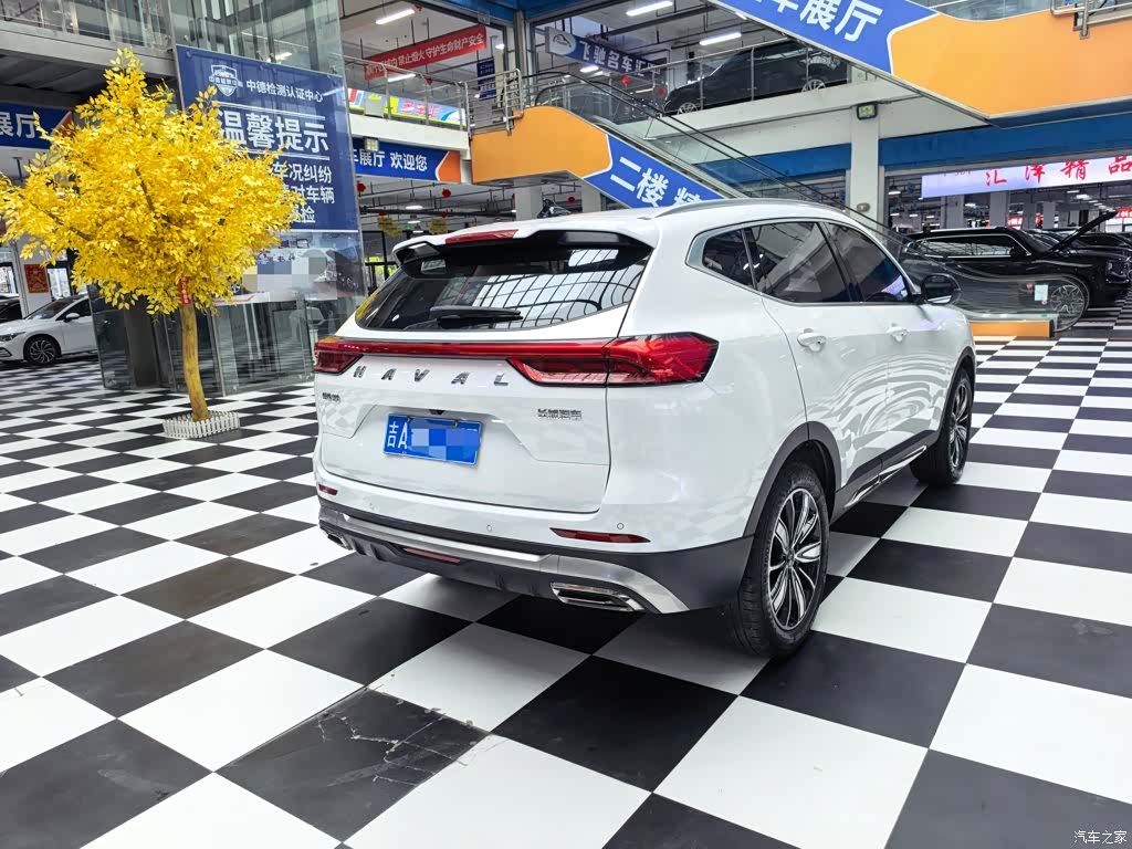 Haval H6, 2023 9