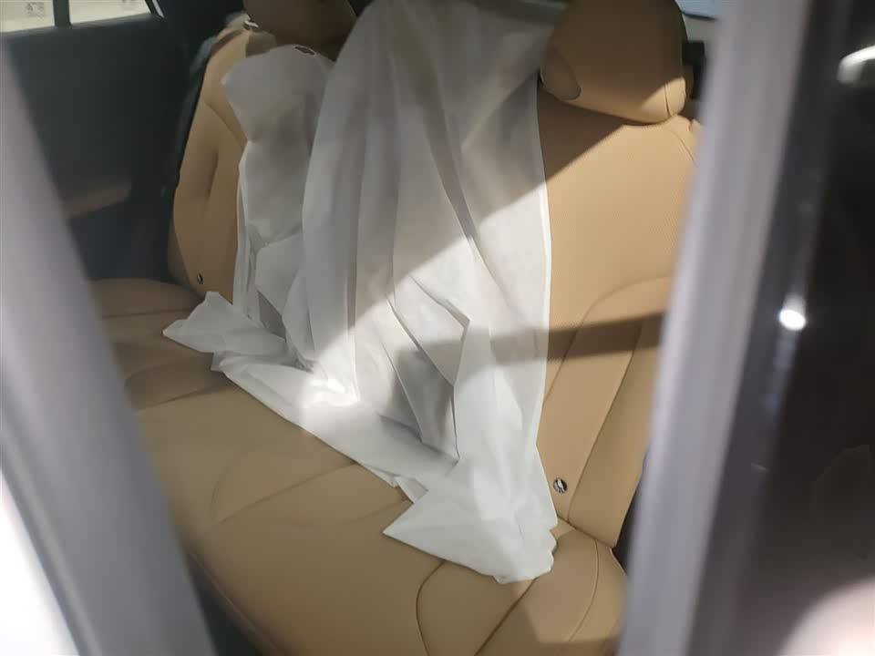 Roewe RX5 New energy