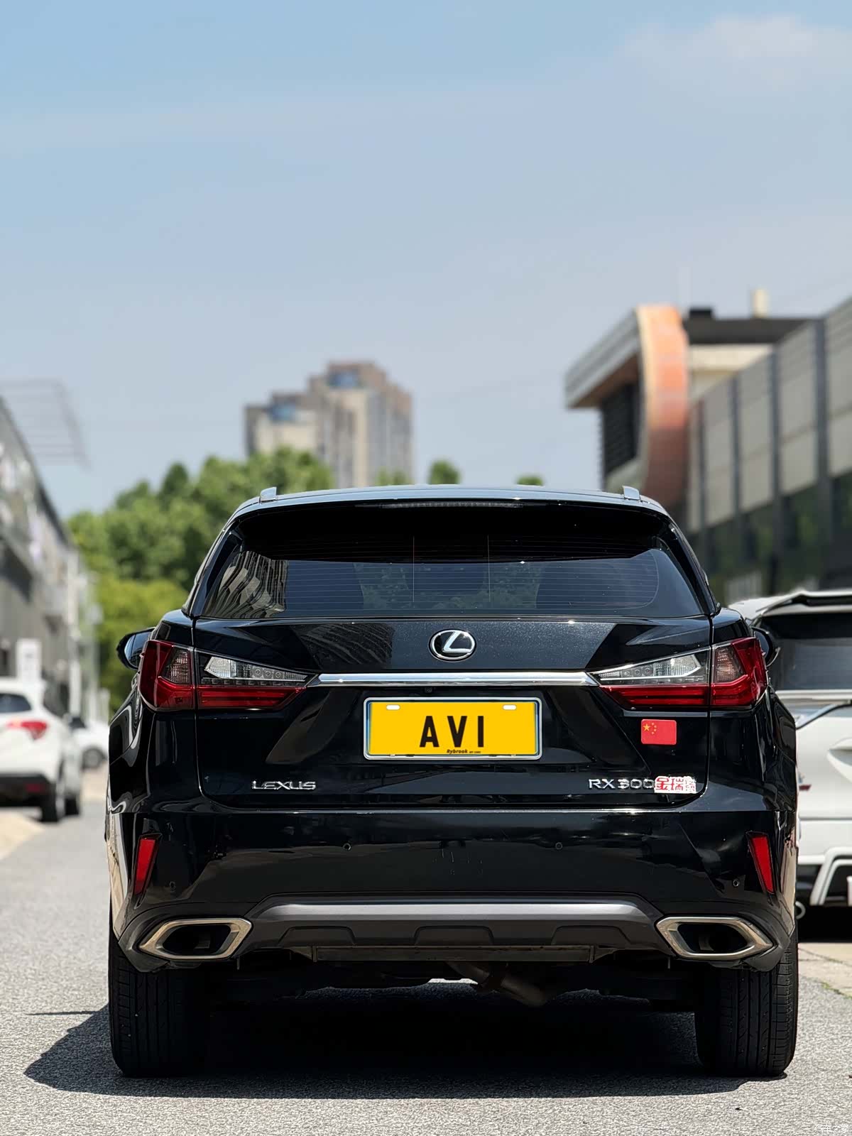 Lexus RX, 2019 4