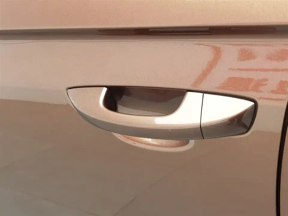 Volkswagen C-TREK Wei Collar