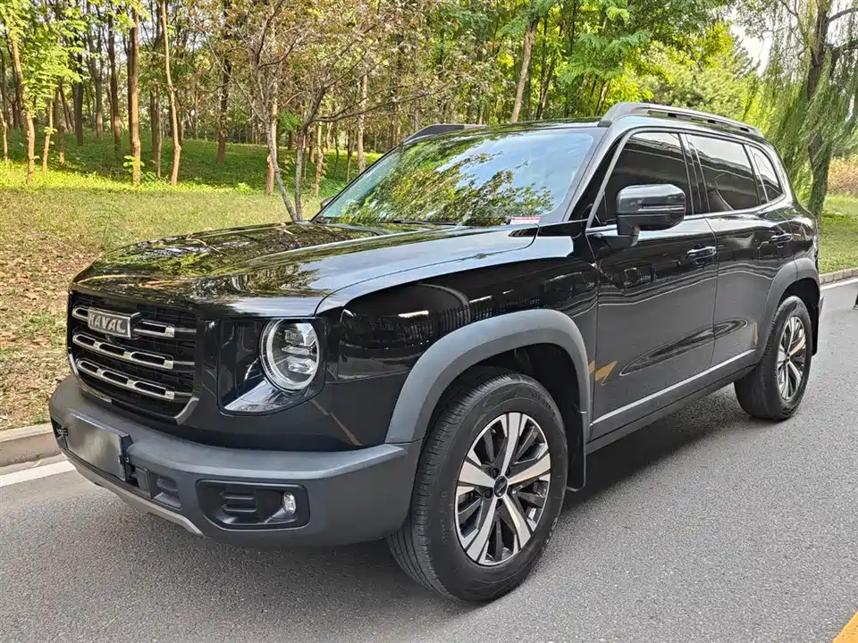 Haval Big dog