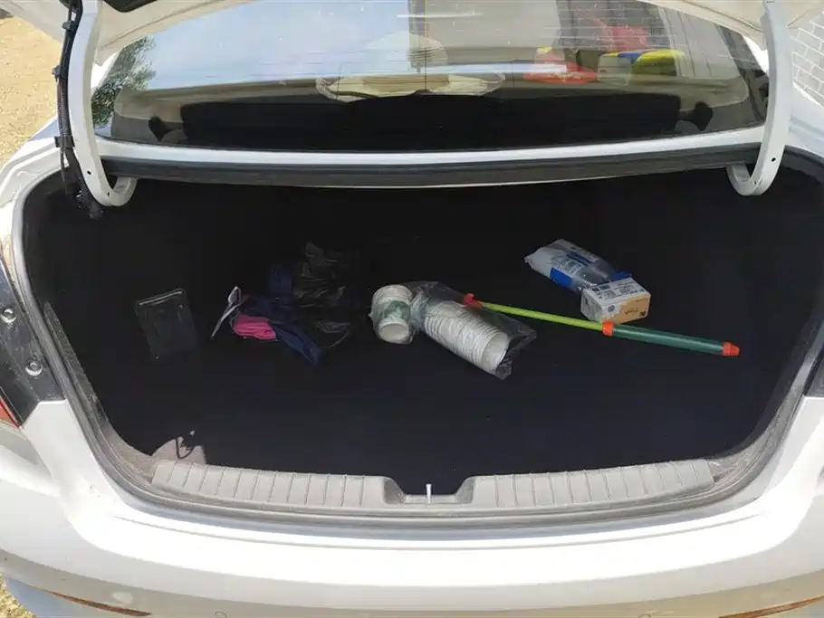 Hyundai Name picture