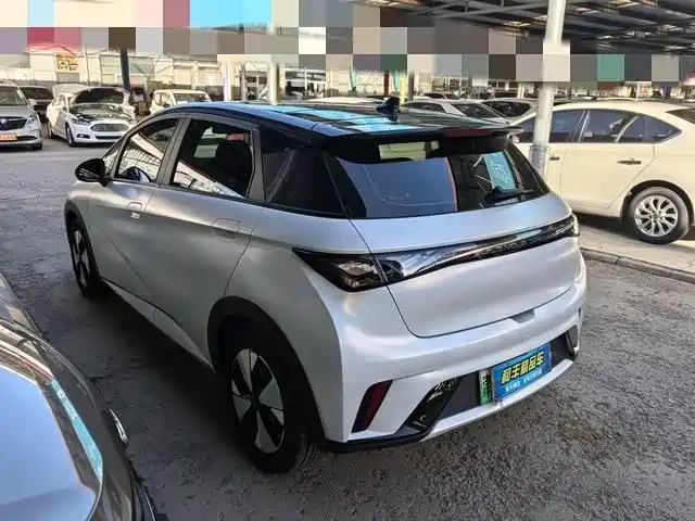 BYD dolphin