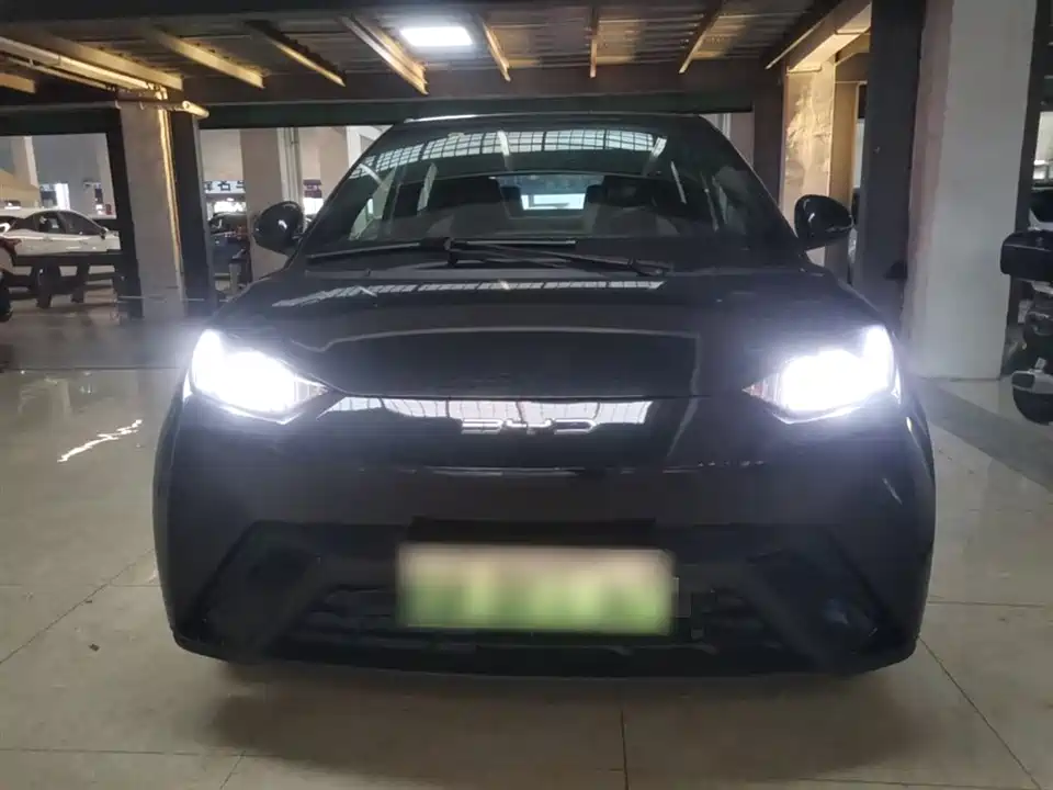 BYD Seagull