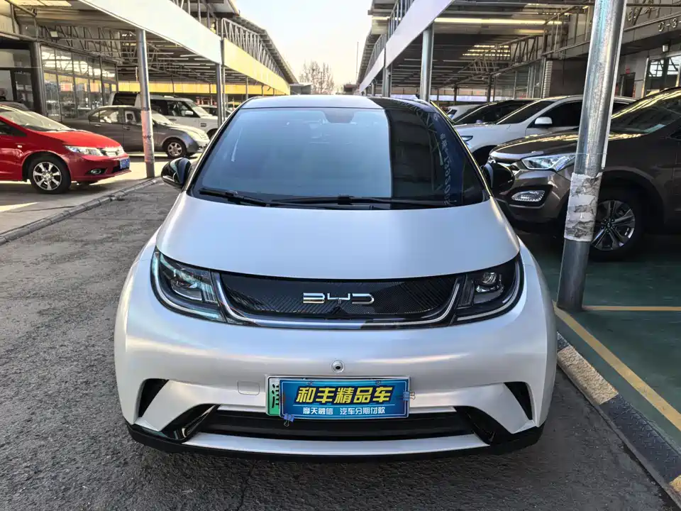 BYD dolphin