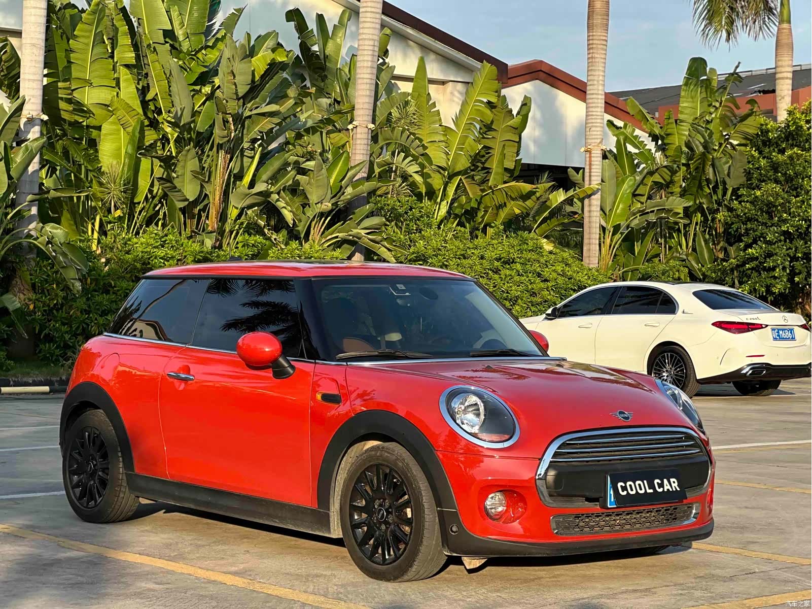 Mini ONE, 2019 1