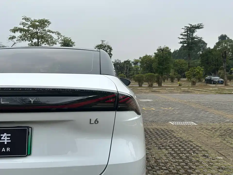 Geely Galaxy Galaxy L6