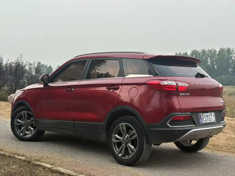 Leopaard Cheetah CS9