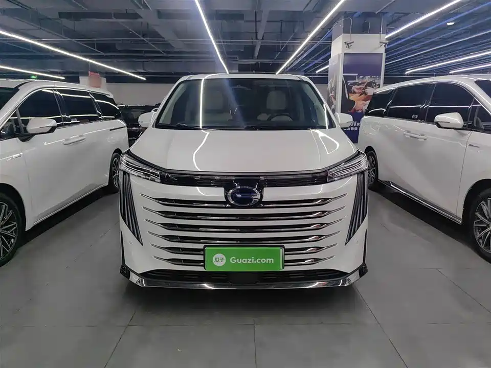 Trumpchi Trumpchi E9