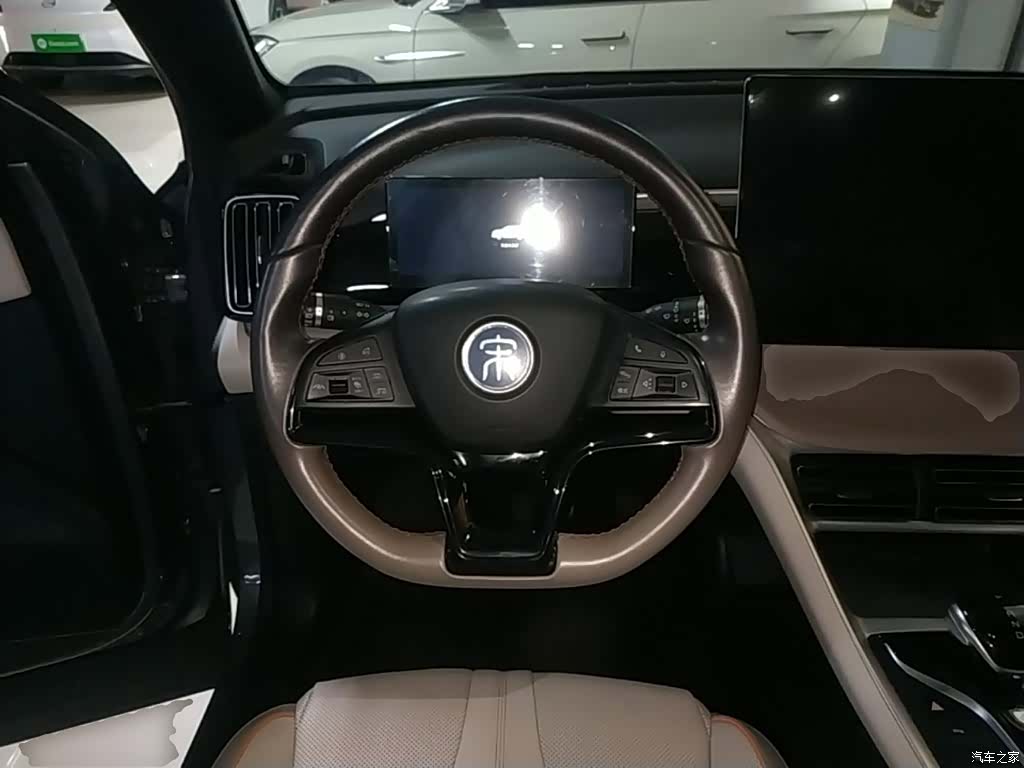 BYD Song, 2024 11