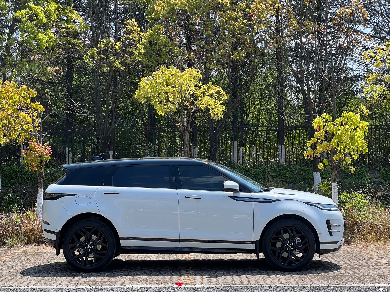 Land Rover Range Rover, 2022 15