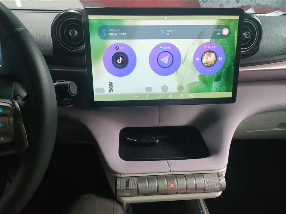 BYD dolphin