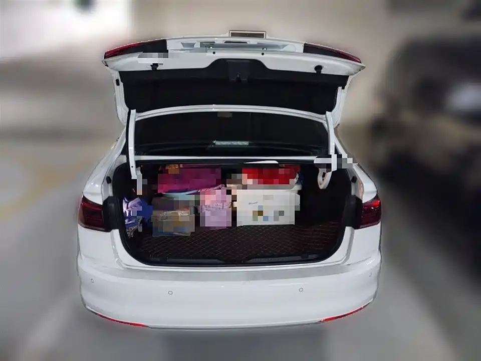 Volkswagen Bora Pure Electric