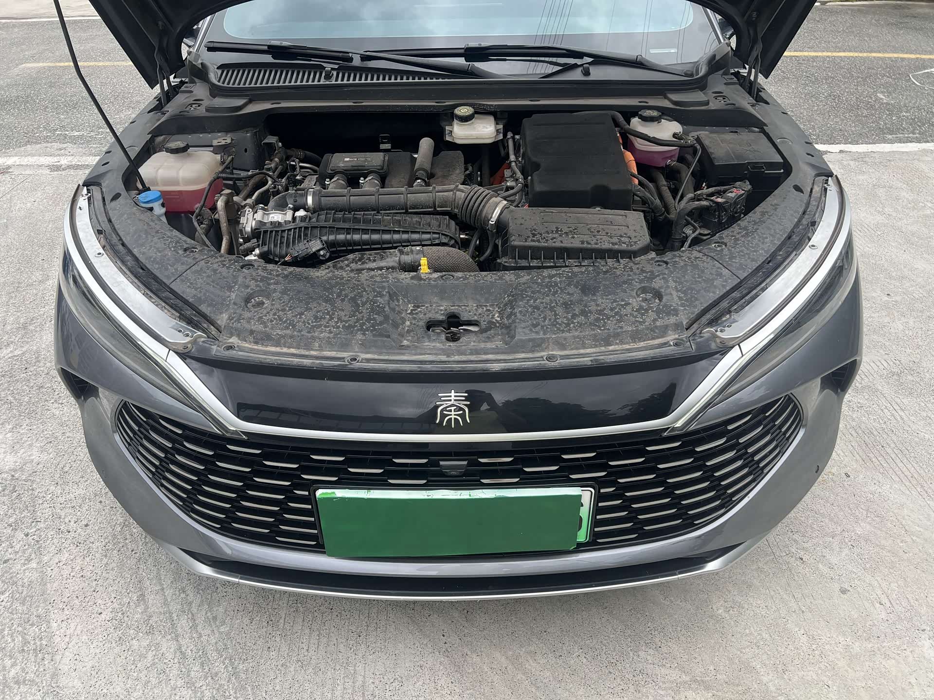 BYD Qin, 2024 6