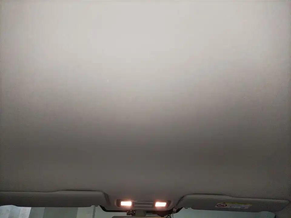 Volkswagen Bora Pure Electric