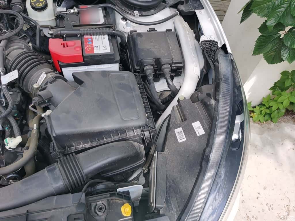 Ford Focus, 2021 22