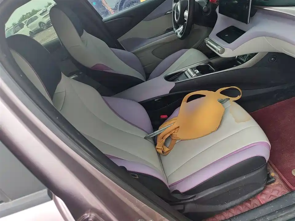 BYD dolphin