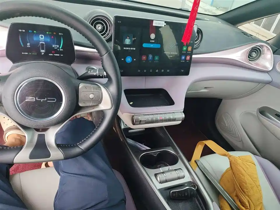 BYD dolphin