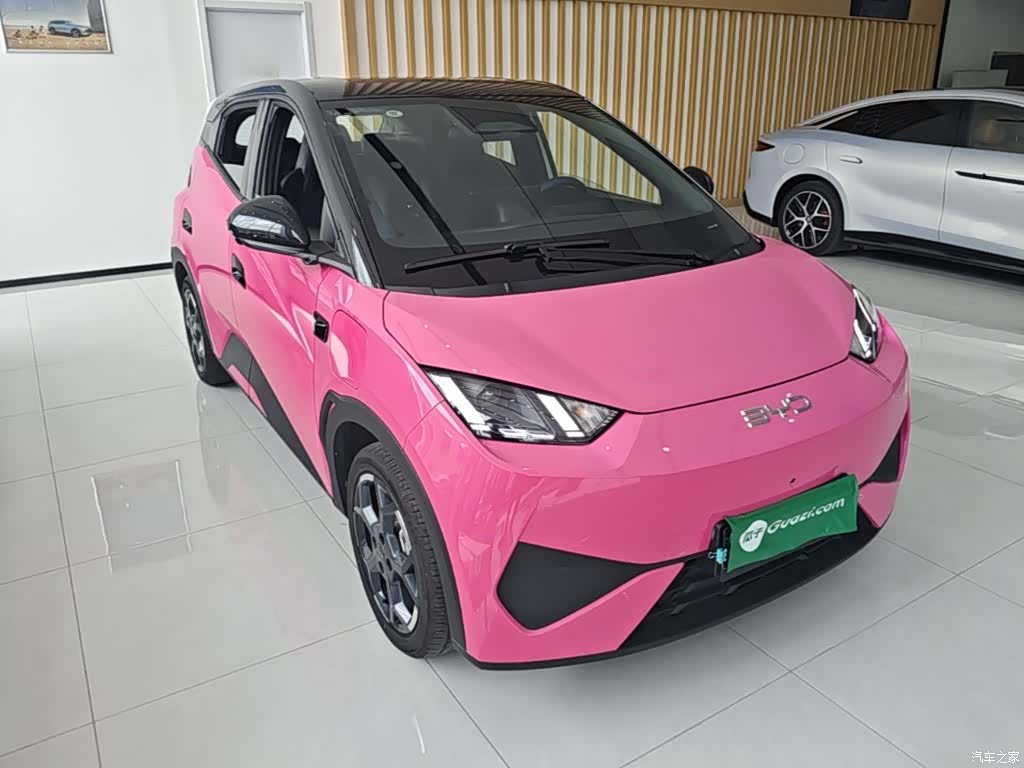 BYD Seagull, 2025 4