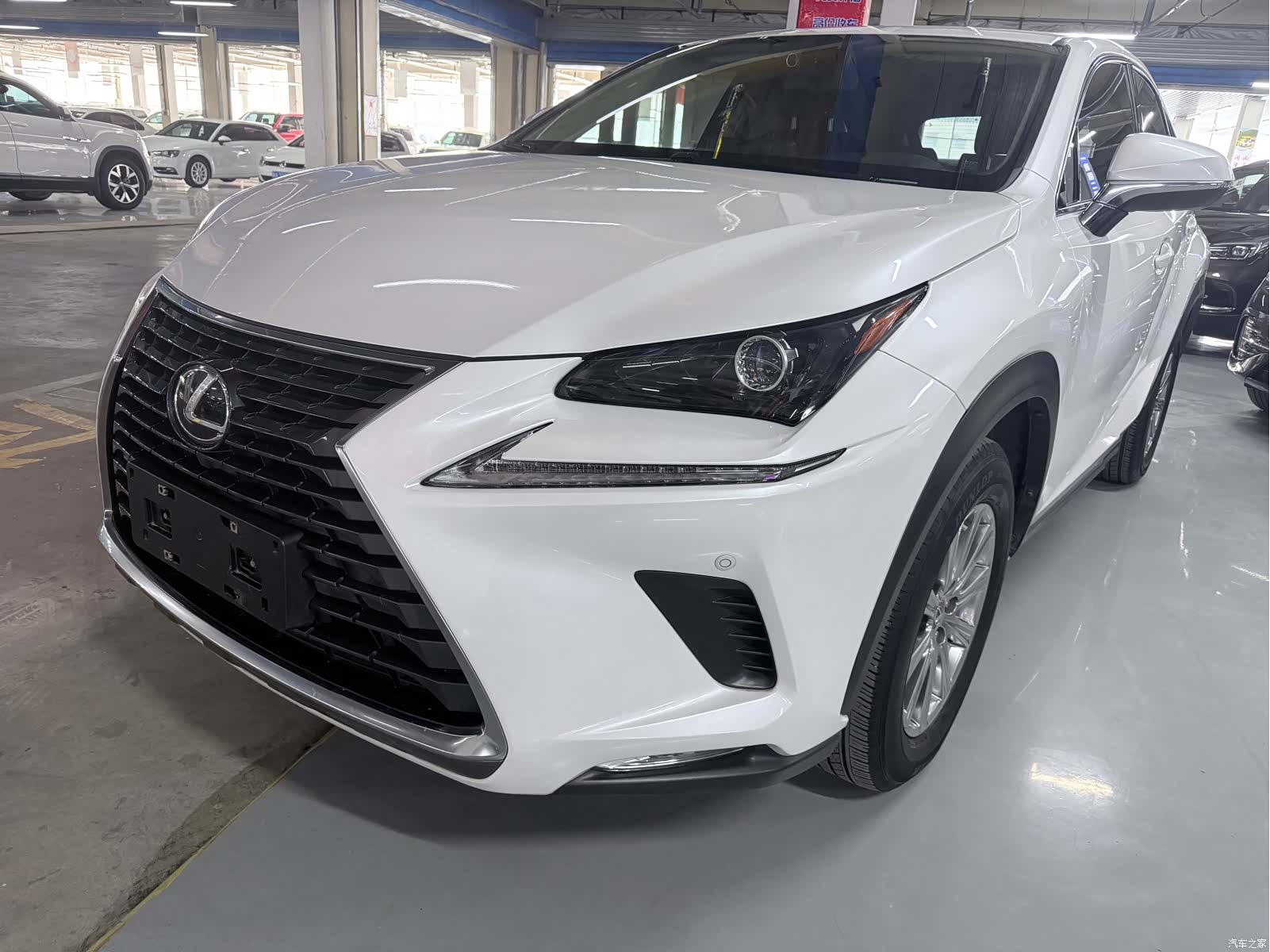 Lexus NX, 2021 1