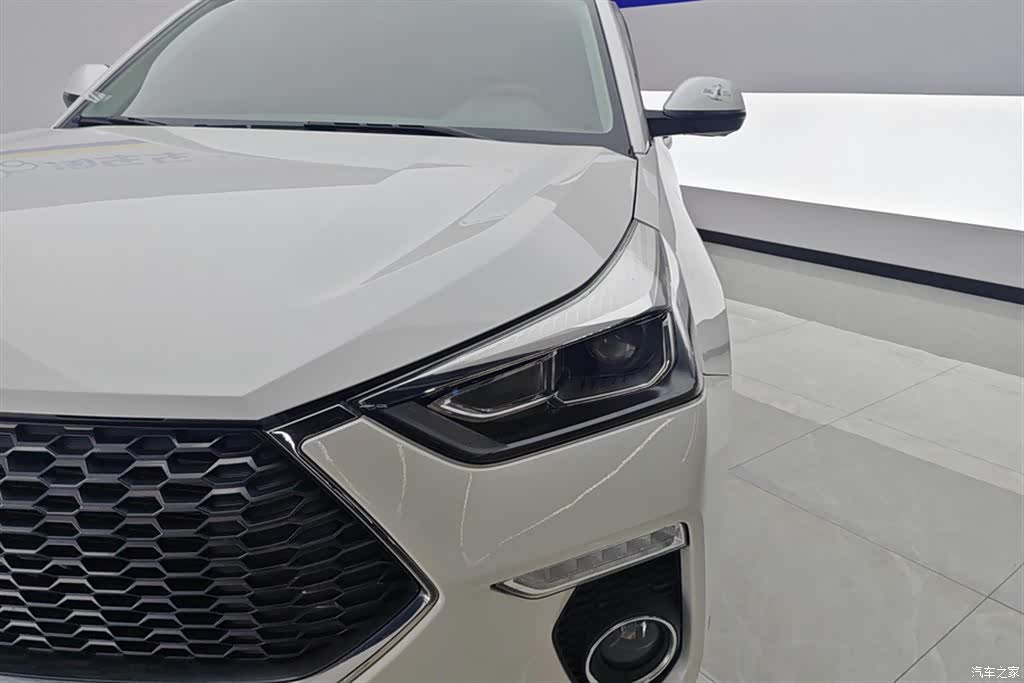 Haval H6, 2019 все фото
