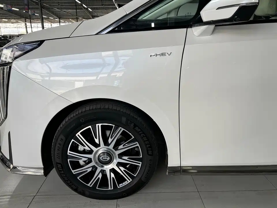 Trumpchi Trumpchi E9