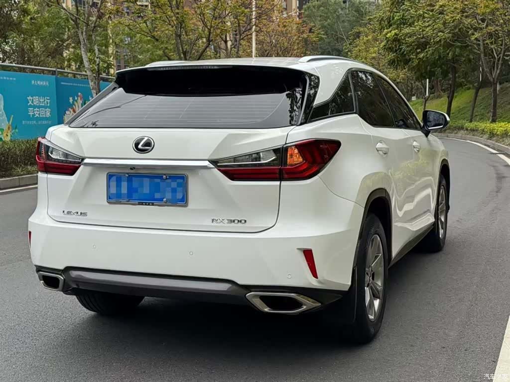 Lexus RX, 2019 9