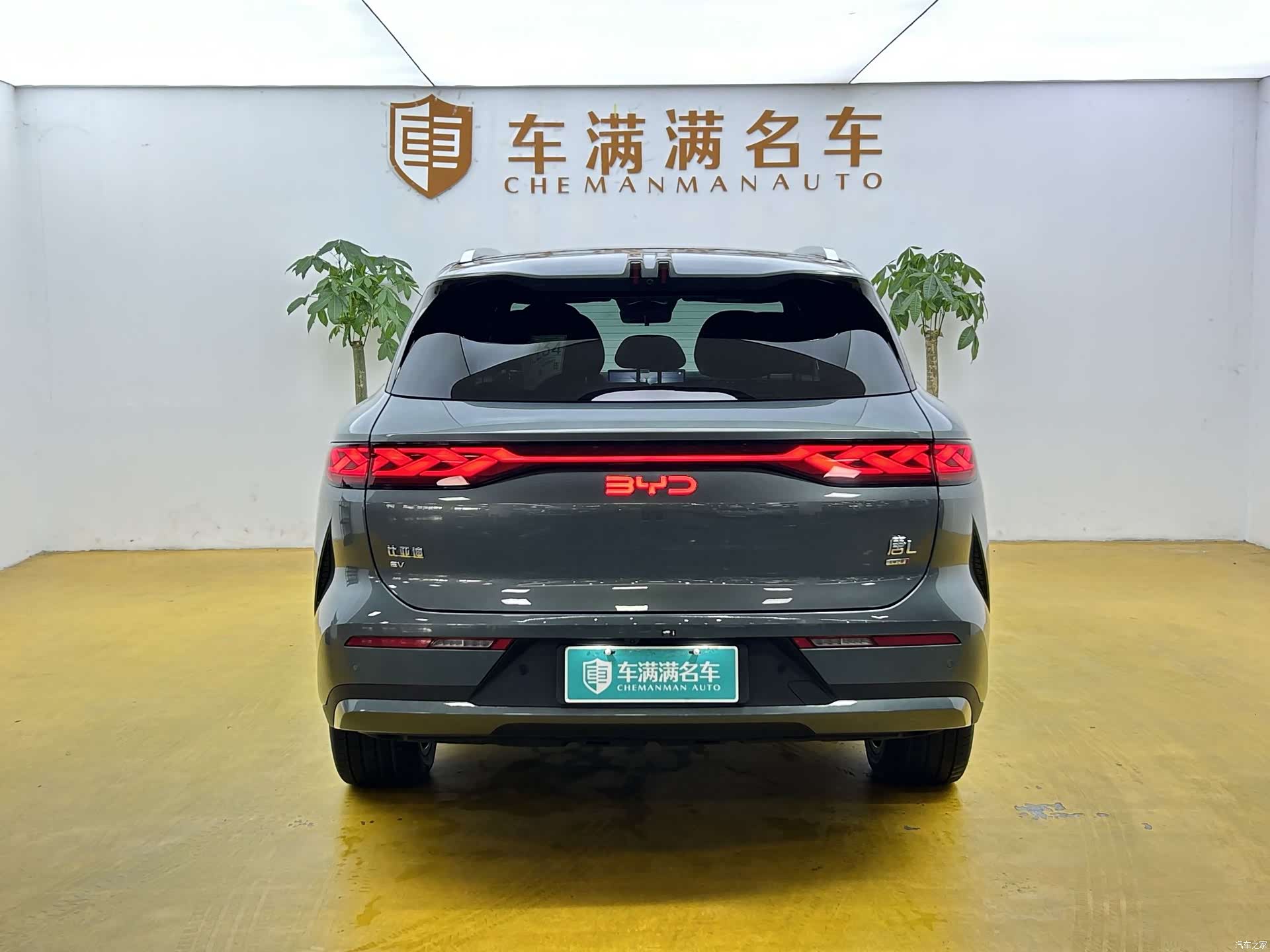 BYD Tang, 2025 11