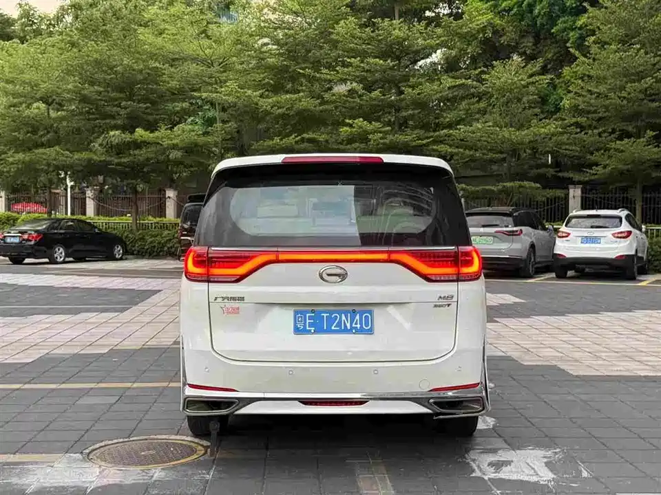 Trumpchi Trumpchi M8