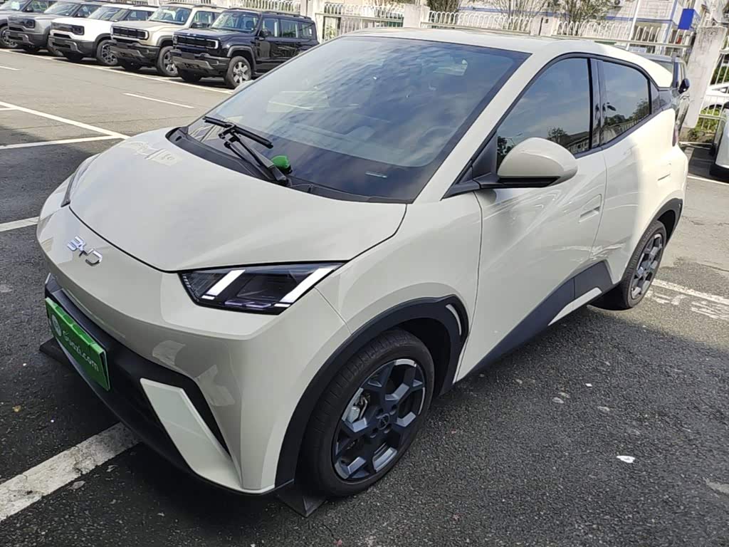 BYD Seagull