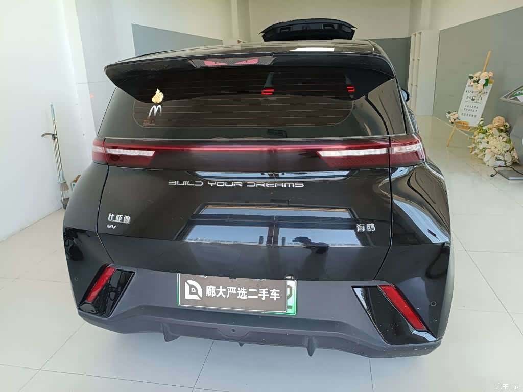 BYD Seagull, 2024 все фото
