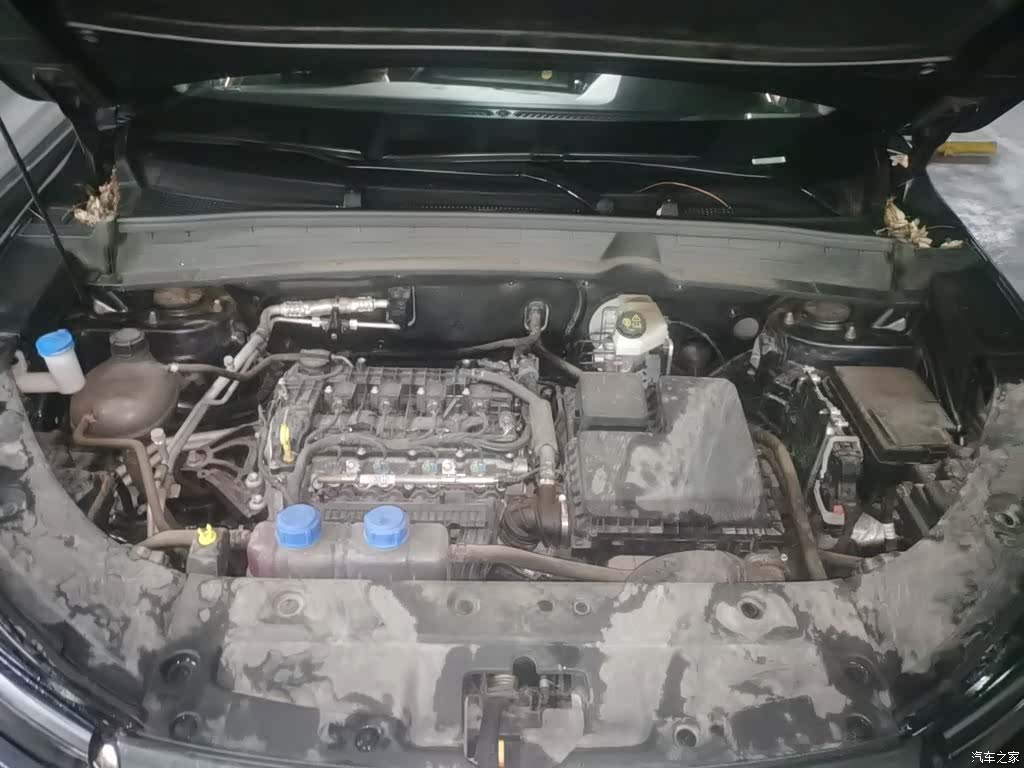 Changan Eado, 2025 11