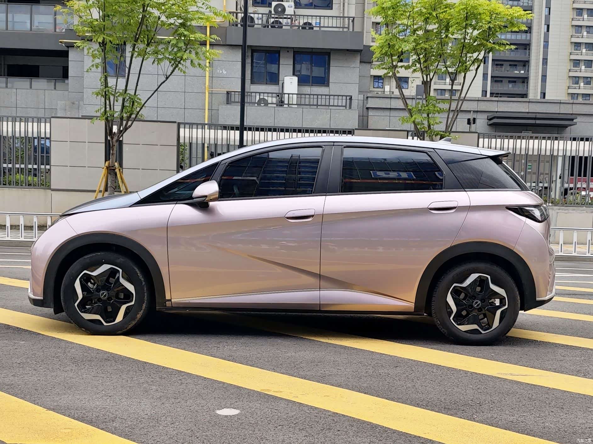 BYD Dolphin, 2022 2