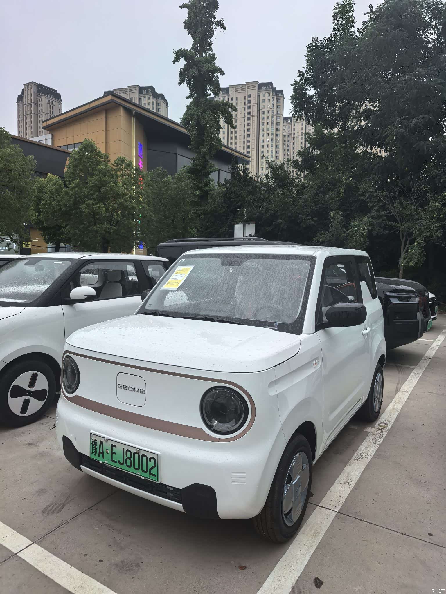 Geely Panda, 2026 1