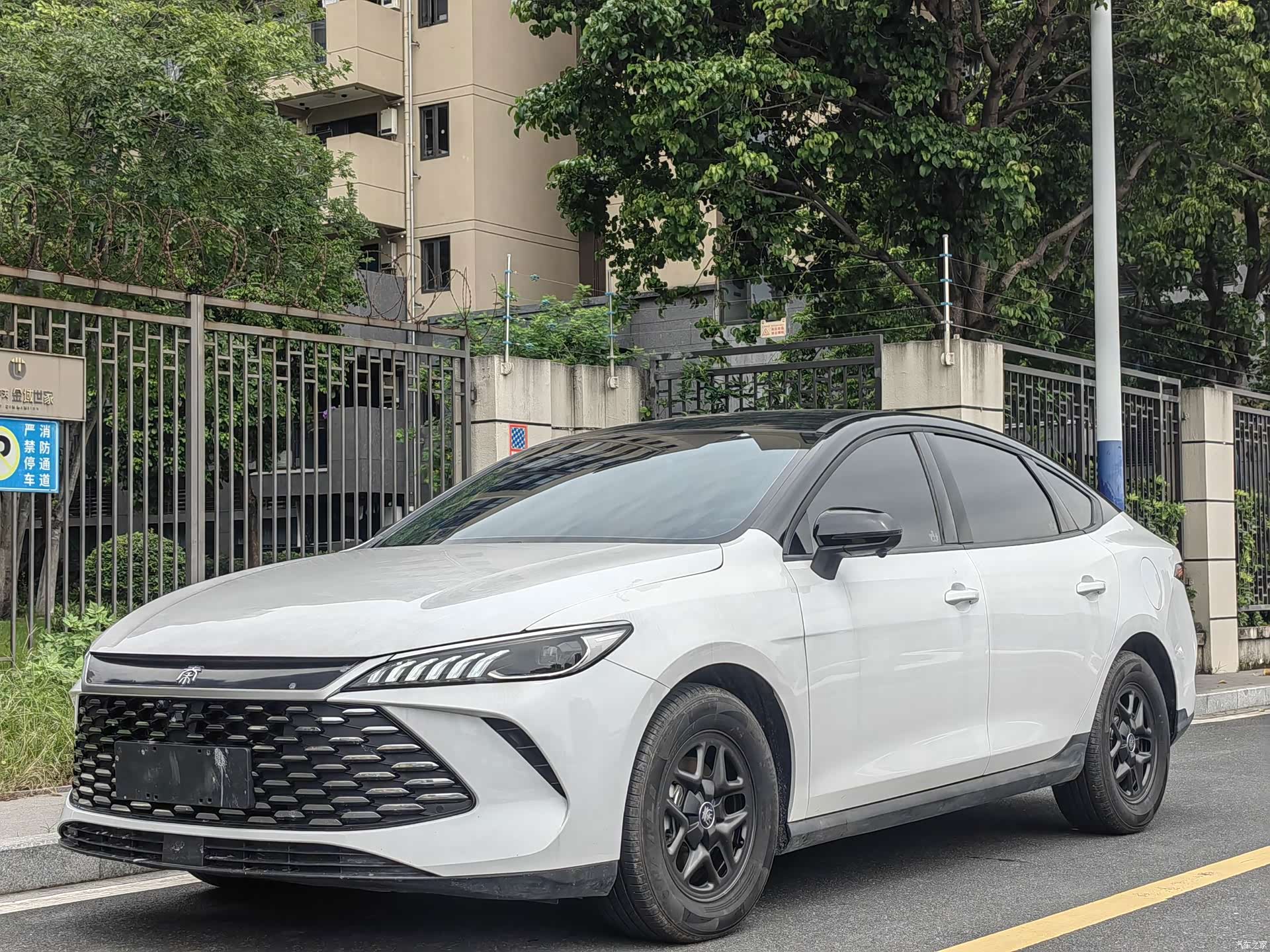 BYD Qin, 2025 1