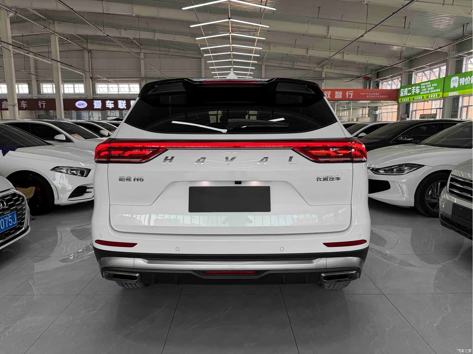 Haval H6, 2023 все фото