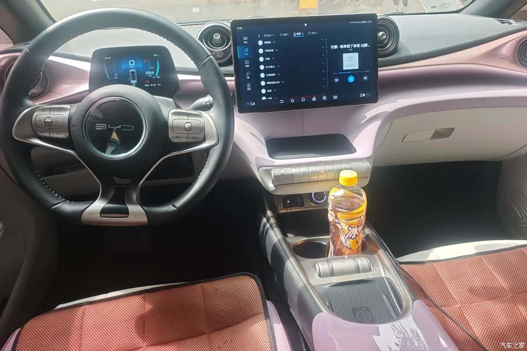 BYD Dolphin, 2023 12