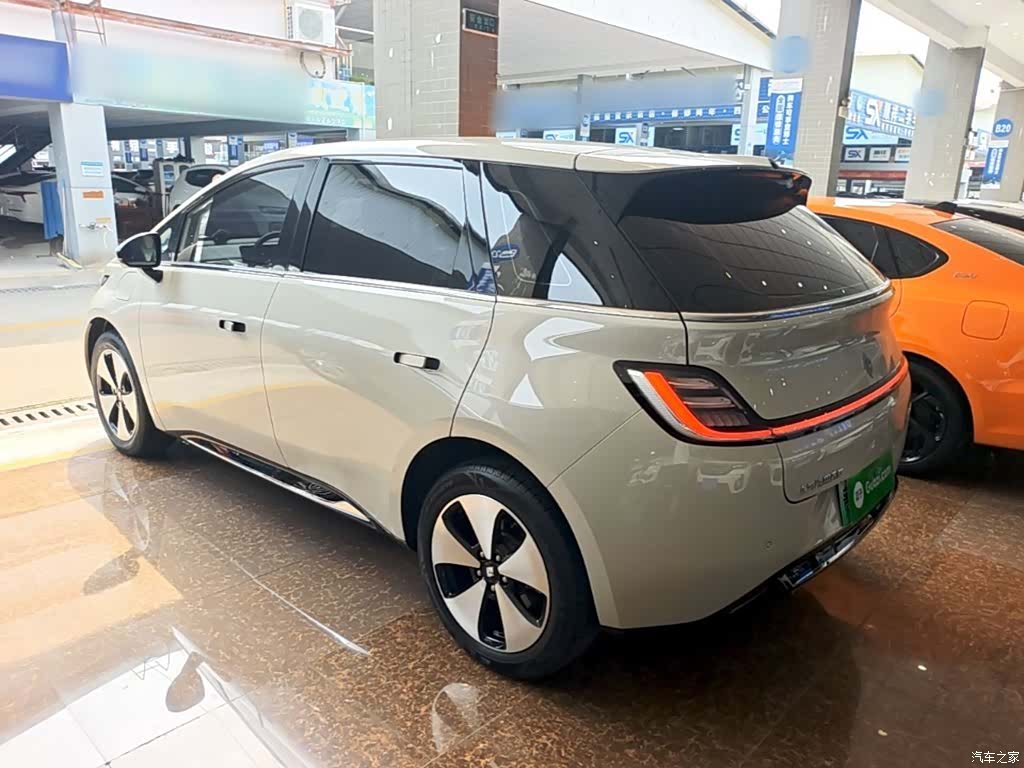 Wuling 460, 2024 все фото