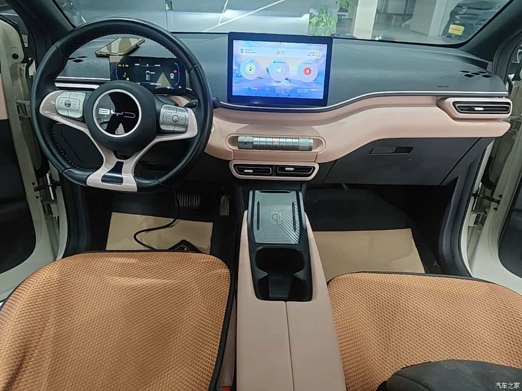 BYD Seagull, 2024 10