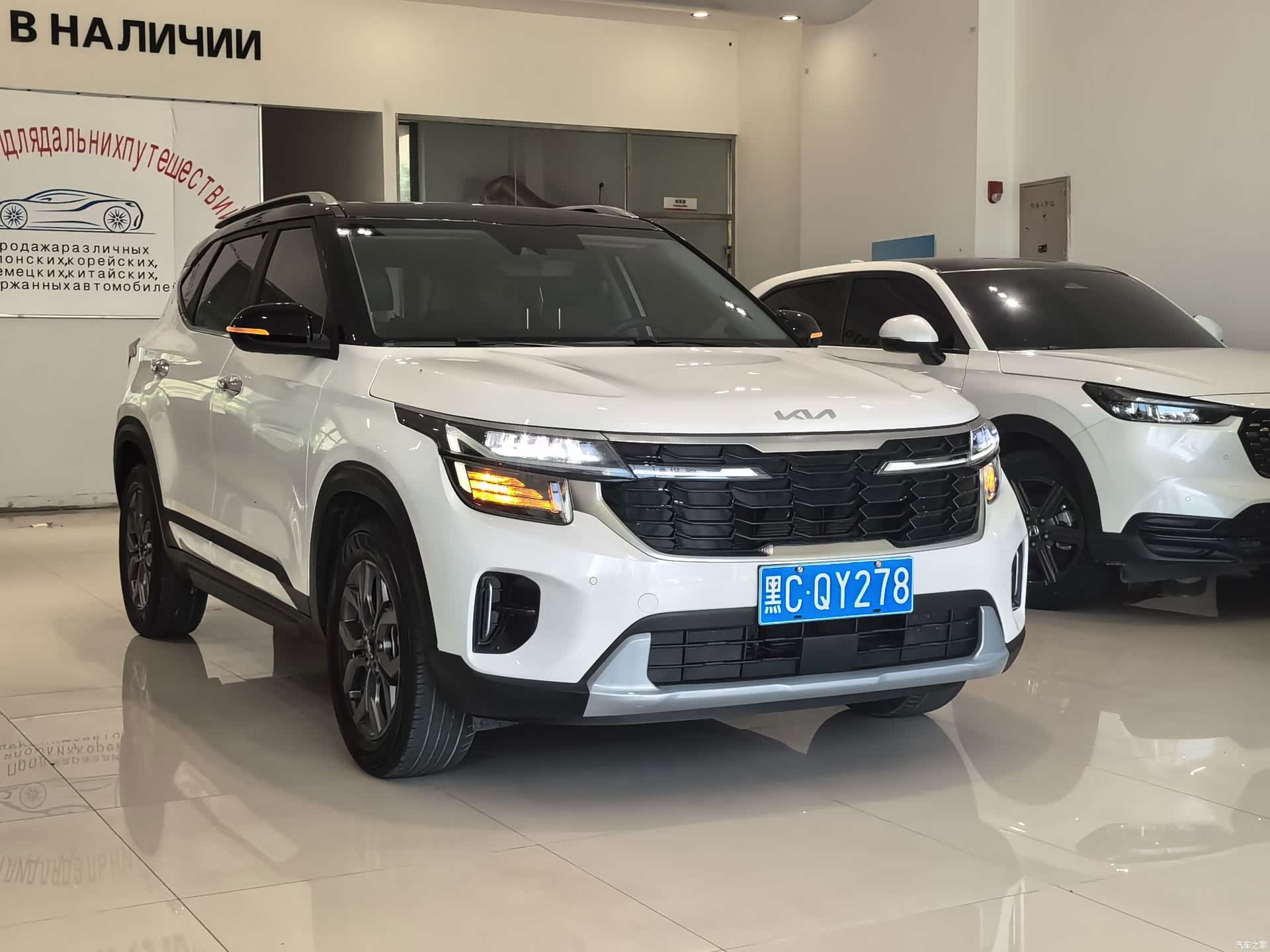Kia Seltos, 2023 все фото