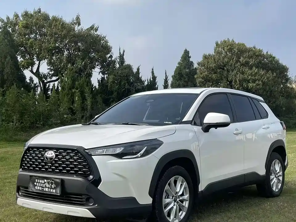 Toyota Corolla Sharp amplifier