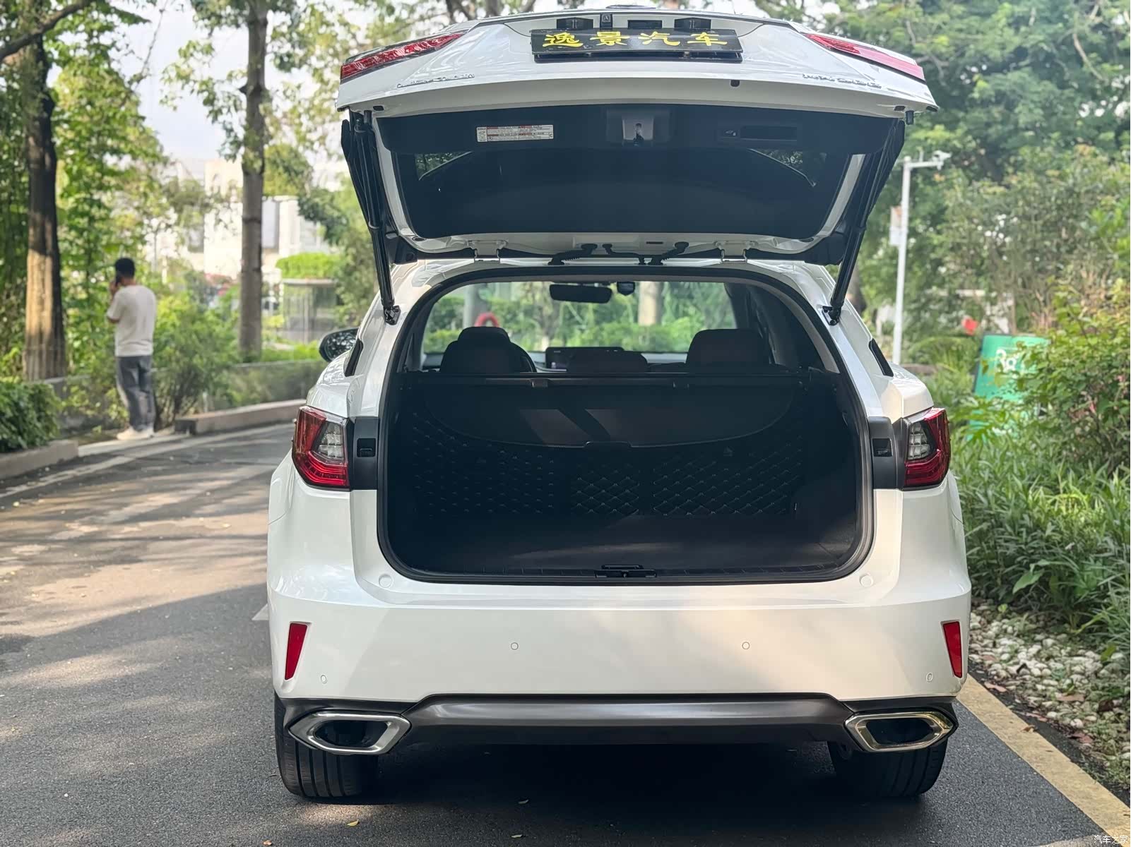 Lexus RX, 2018 все фото