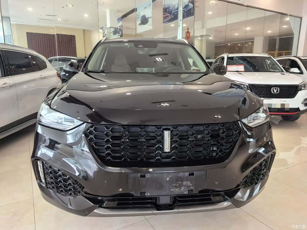 WEY VV6, 2019 3