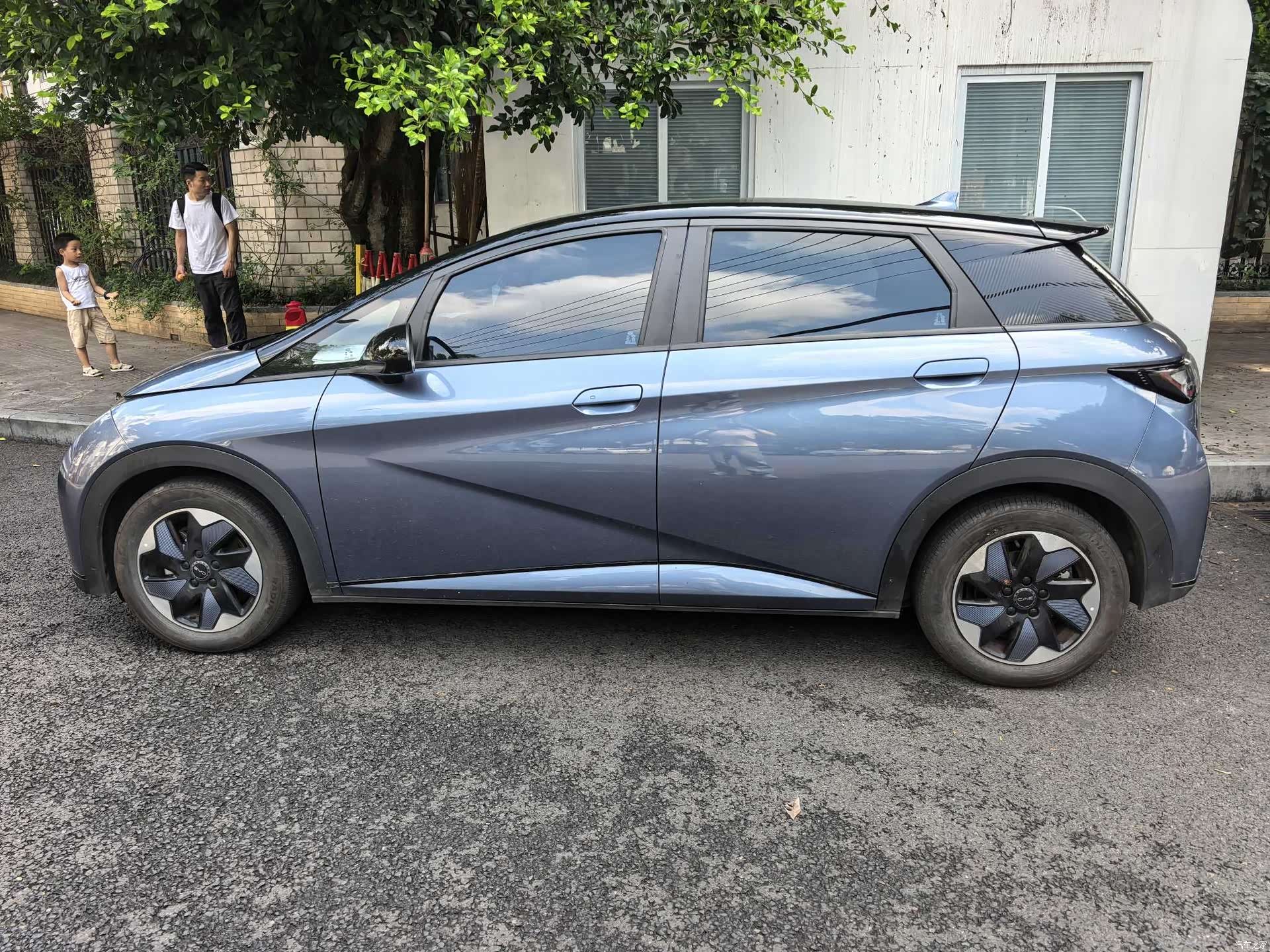 BYD Dolphin, 2024 6