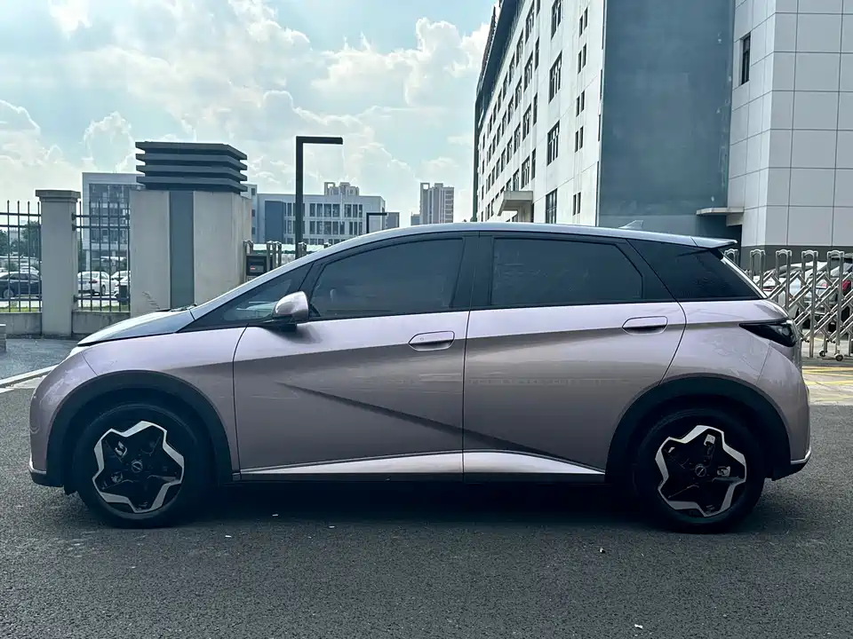BYD dolphin