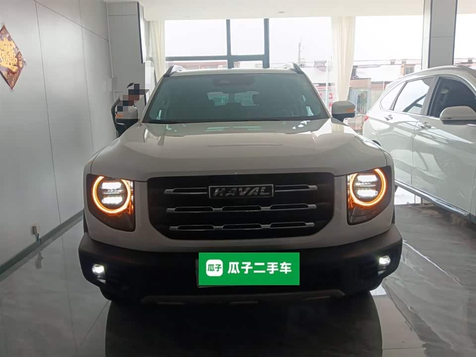 Haval Big dog