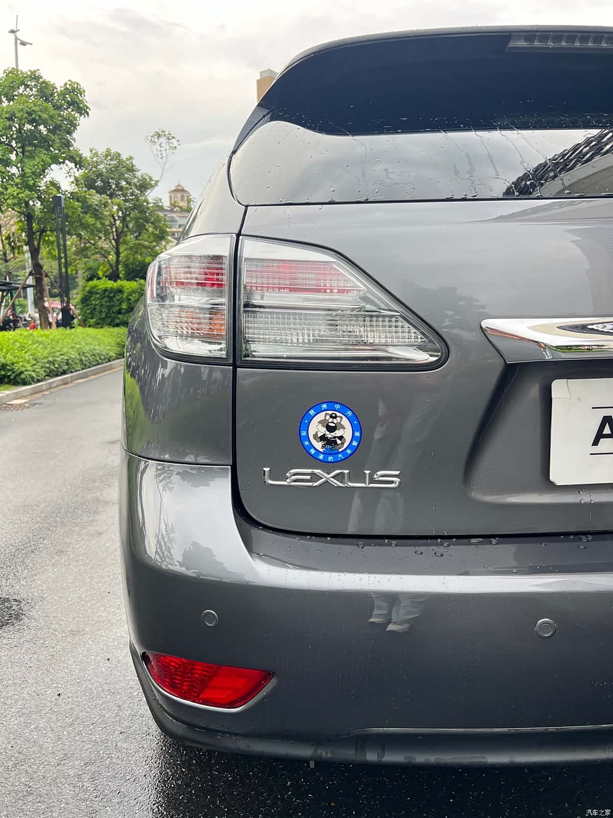 Lexus RX, 2012 10