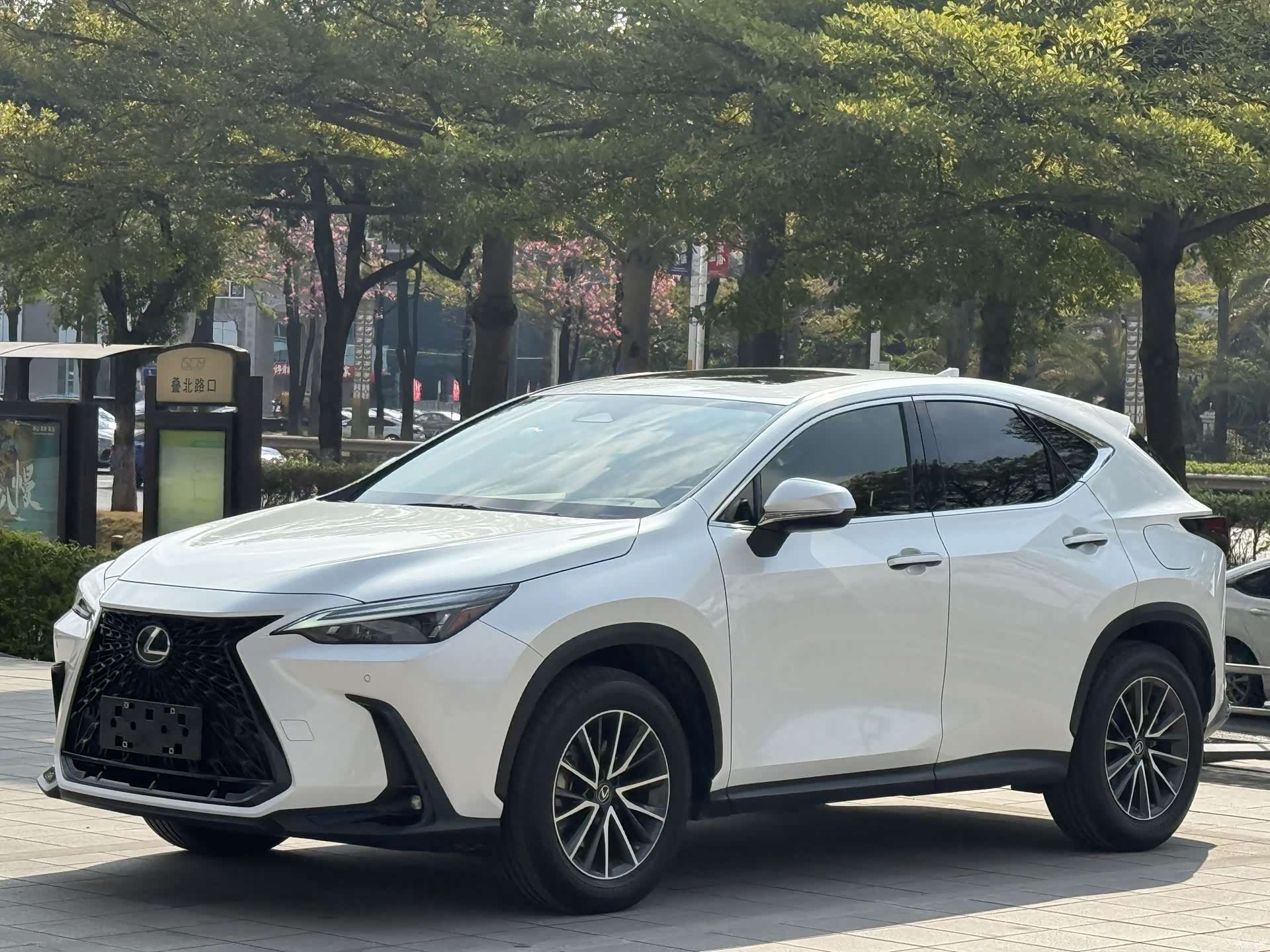 Lexus NX, 2022 1