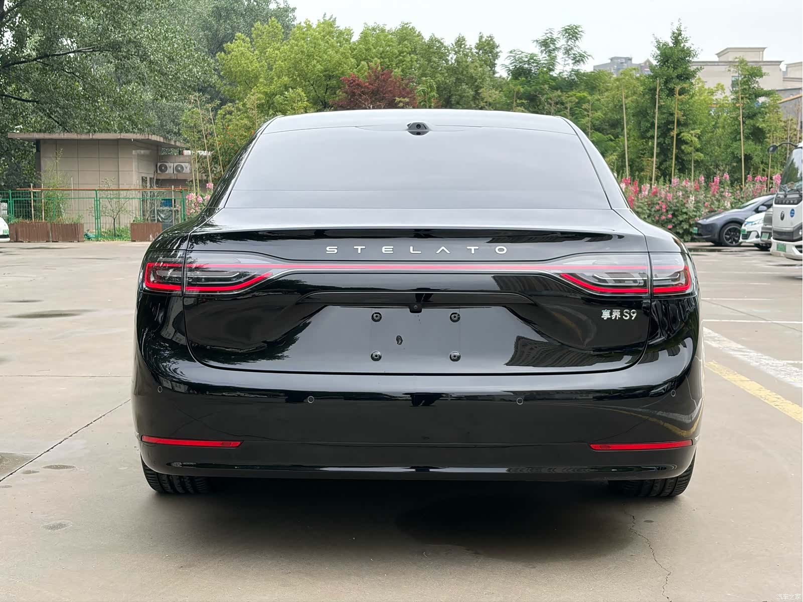 Stelato S9, 2024 18