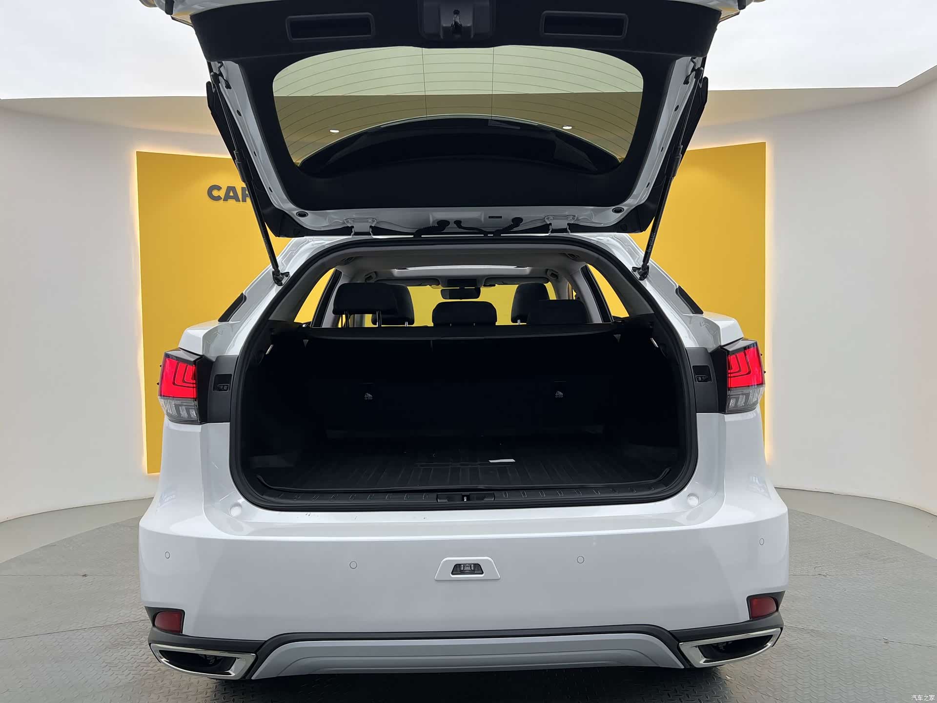 Lexus RX, 2022 20